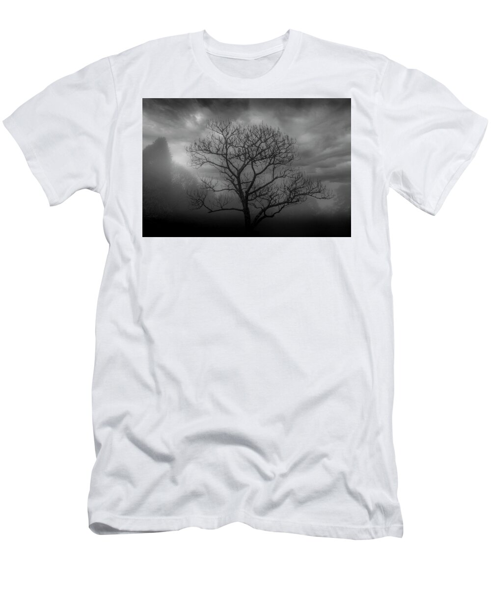 Mist T-Shirt featuring the photograph Moody Tree by Chris Boulton