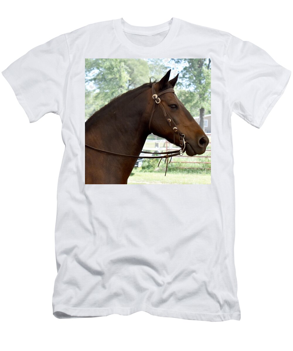 Horse T-Shirt featuring the photograph Morgan Horse Portrait by Linda Brittain