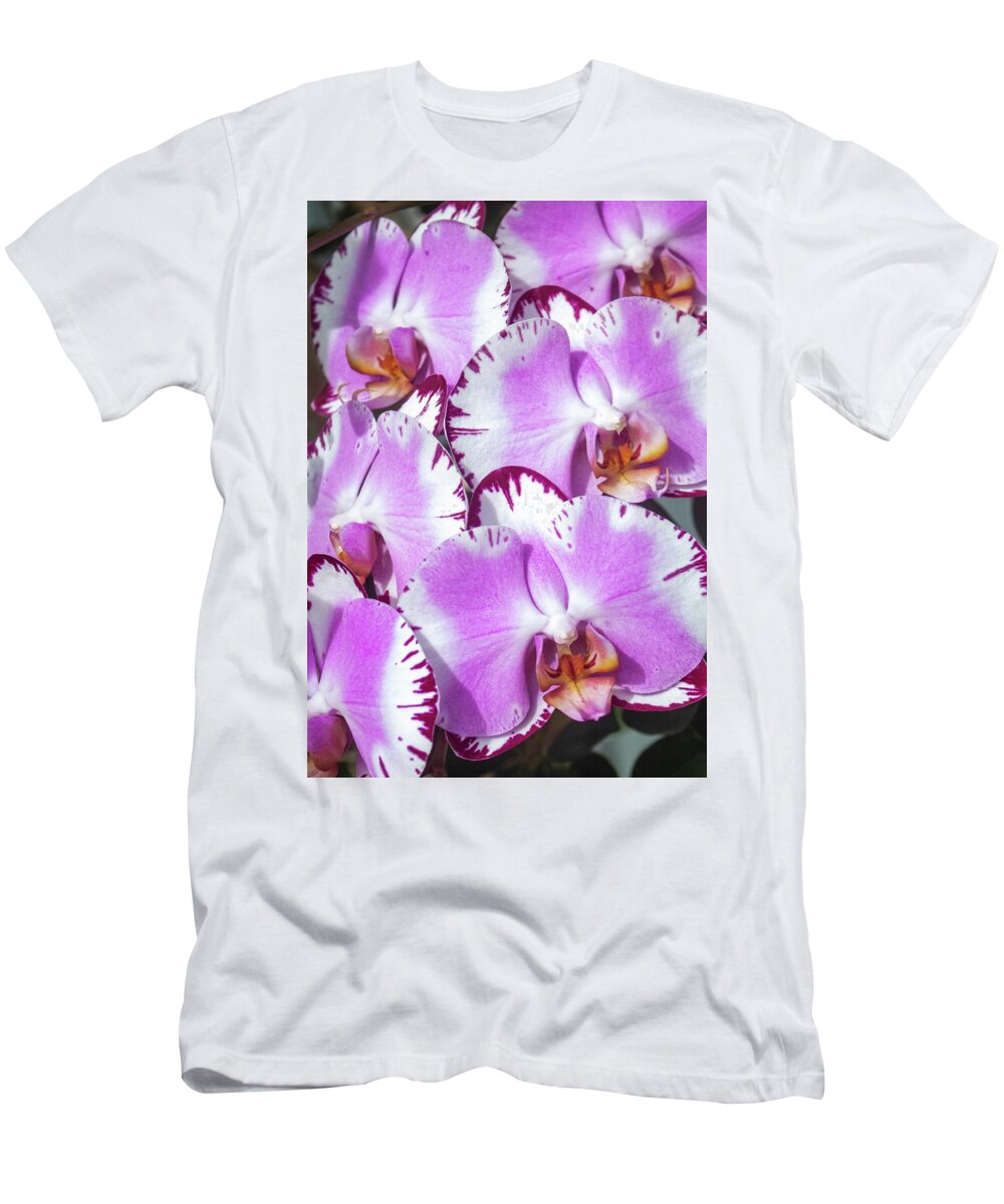 Kauai T-Shirt featuring the photograph Morning Orchid by Tony Spencer