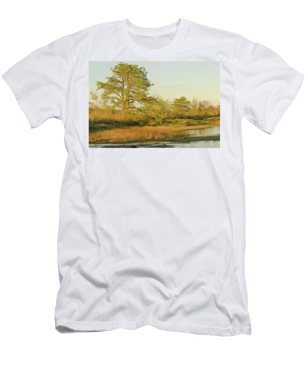Pitch Pine T-Shirt featuring the photograph My Favorite Pine 1 by Beth Venner