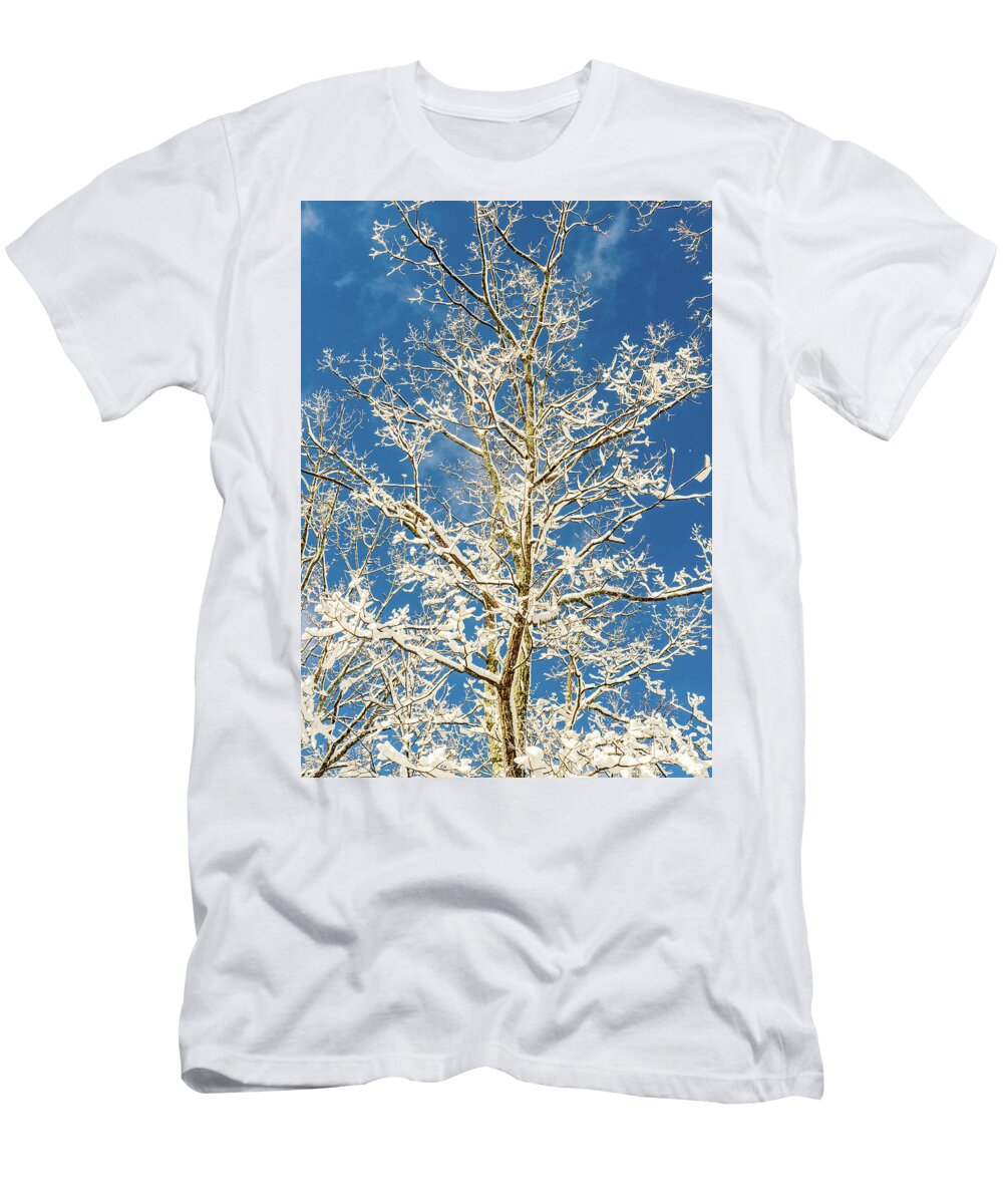 Sky T-Shirt featuring the photograph Nature Photography - Winter Tree by Amelia Pearn