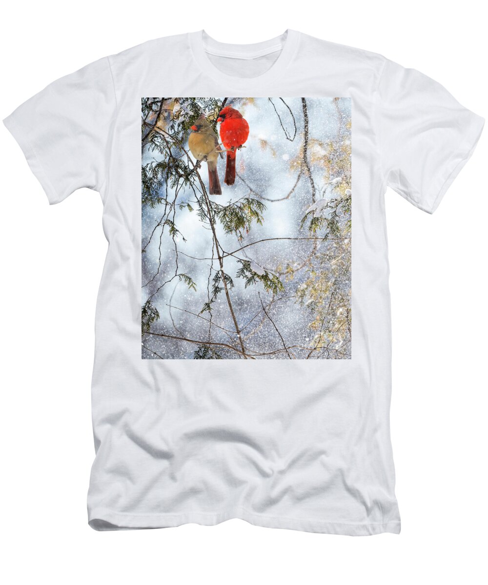 Northern Cardinals T-Shirt featuring the photograph Northern Cardinal Love Story by Sandra Rust