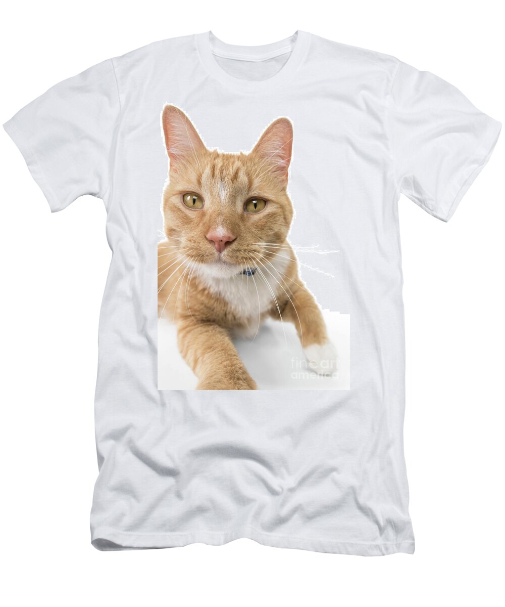 Cat T-Shirt featuring the photograph Orange Tabby Joy by Renee Spade Photography