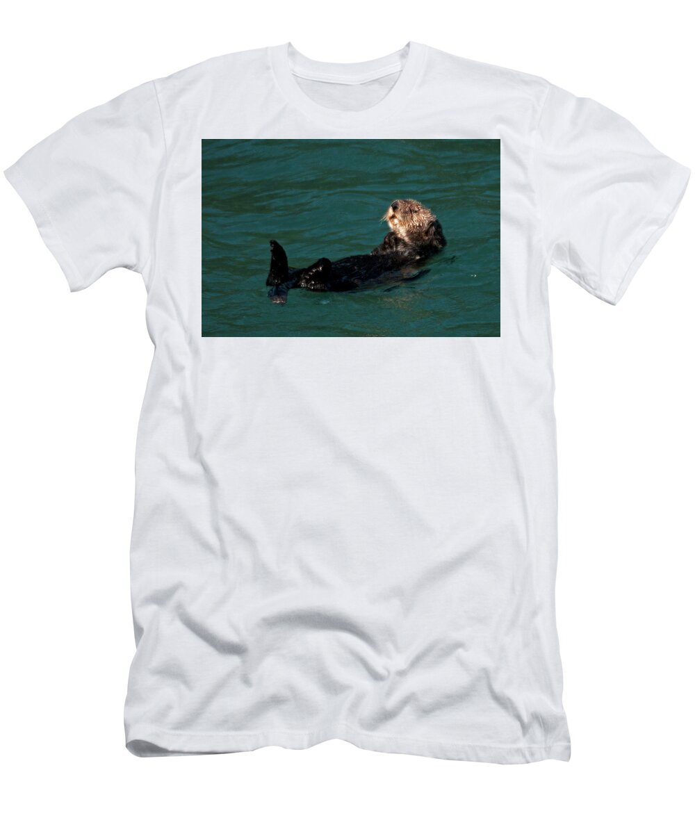 Scenic T-Shirt featuring the photograph Otter Daze by Doug Davidson