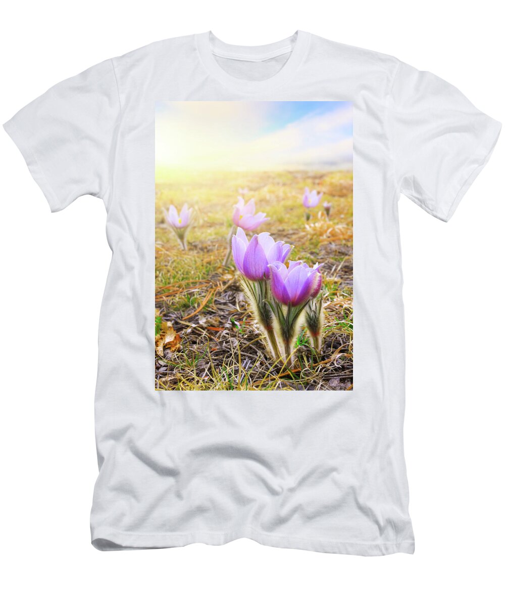 Pasque T-Shirt featuring the photograph Passover Spring by Kadek Susanto