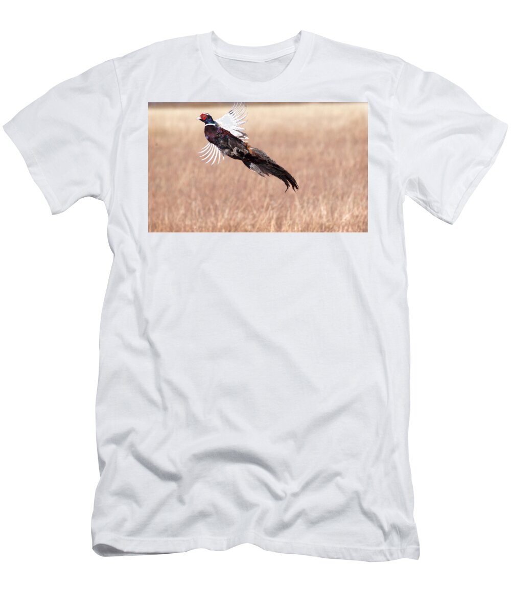 Richard E Porter T-Shirt featuring the photograph Pheasant Flying, Floyd County, Texas by Richard Porter