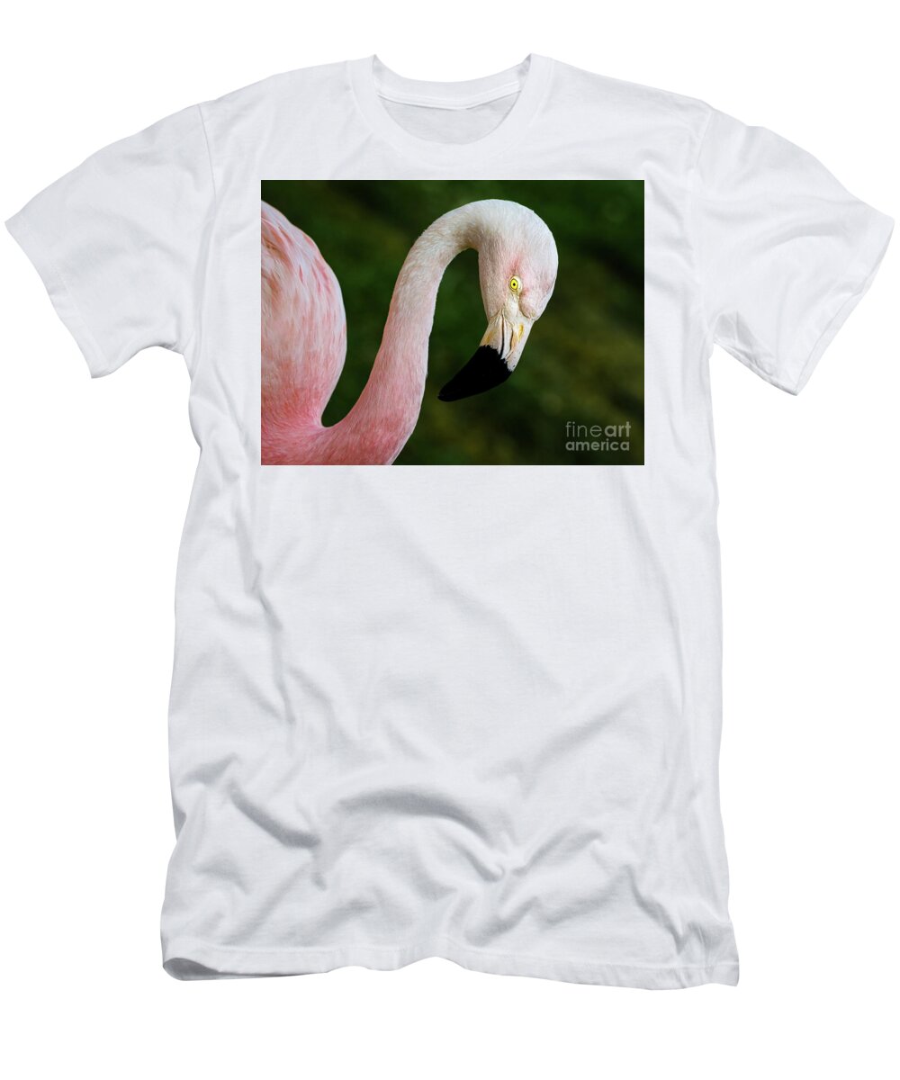 Flamingo T-Shirt featuring the pyrography Pink Flamingo by Joseph Miko