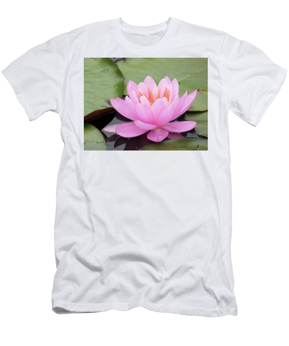 Lily T-Shirt featuring the photograph Pink Lily of the Water by Kimmary I MacLean