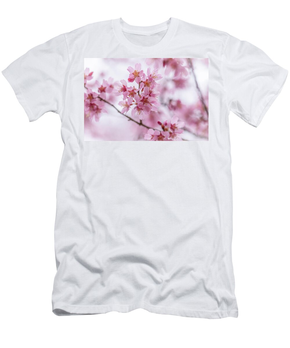 Prunus Campanulata T-Shirt featuring the photograph Poetic by Lara Morrison