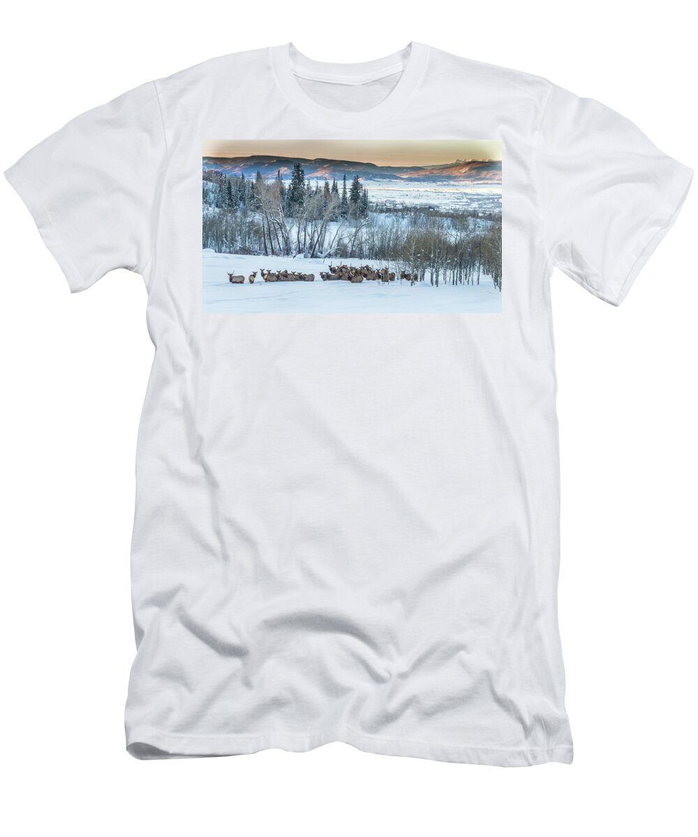  T-Shirt featuring the photograph Pre Dawn Gathering by Kevin Dietrich