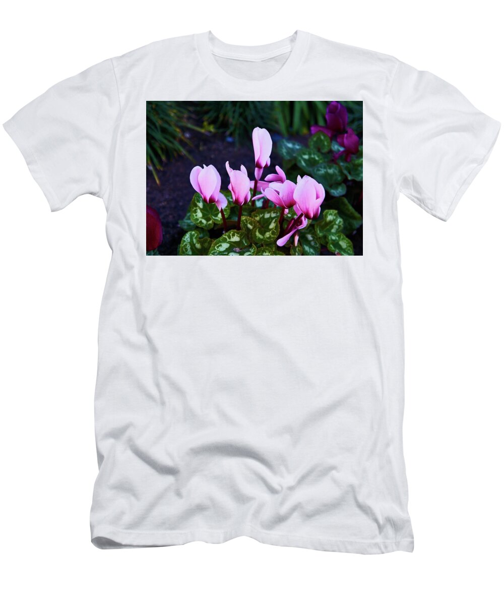 Flower T-Shirt featuring the photograph Purple Cyclamen Blooms Softly Diffused by Kenneth Roberts