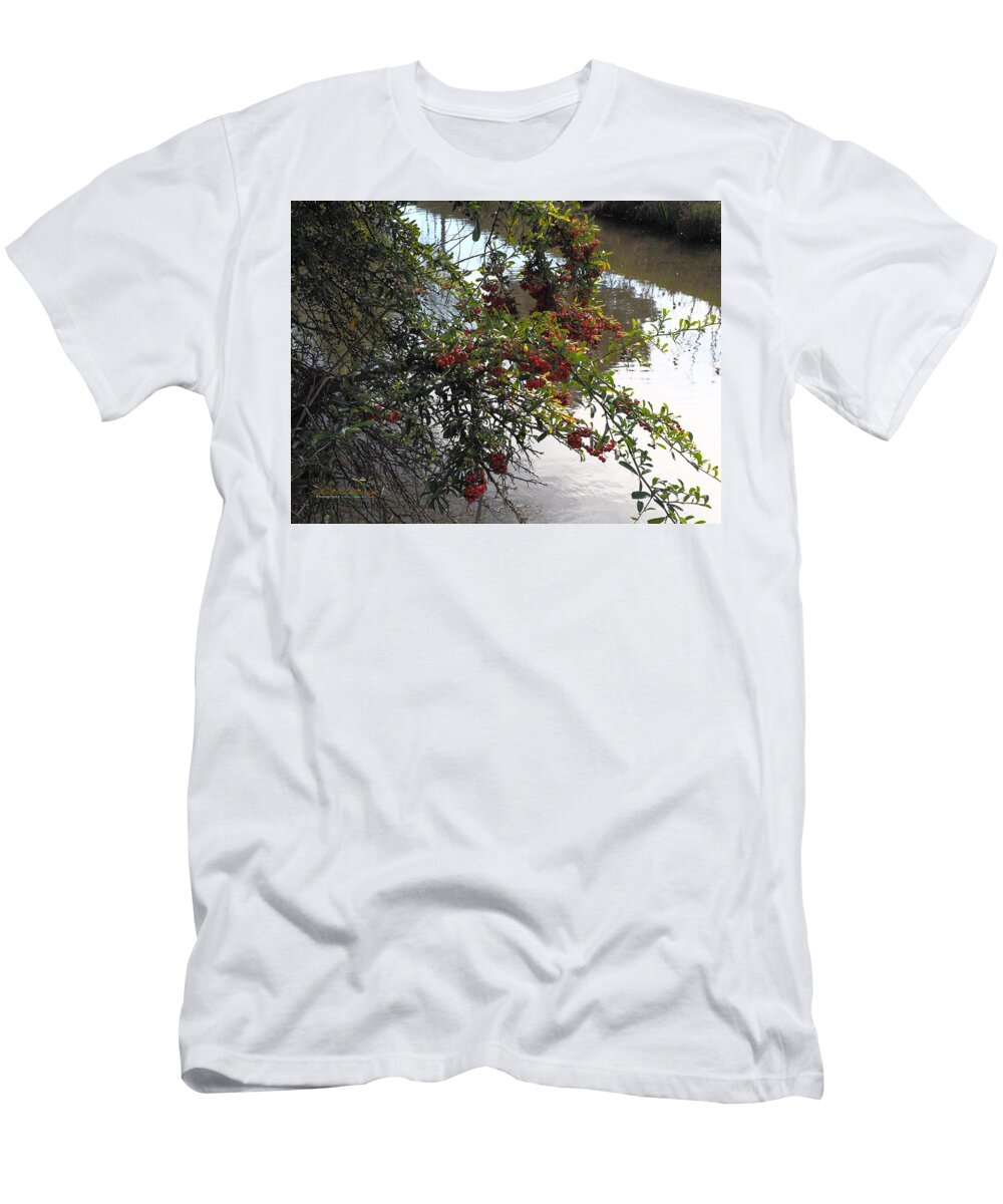 Botanical T-Shirt featuring the photograph Pyracantha Creek by Richard Thomas