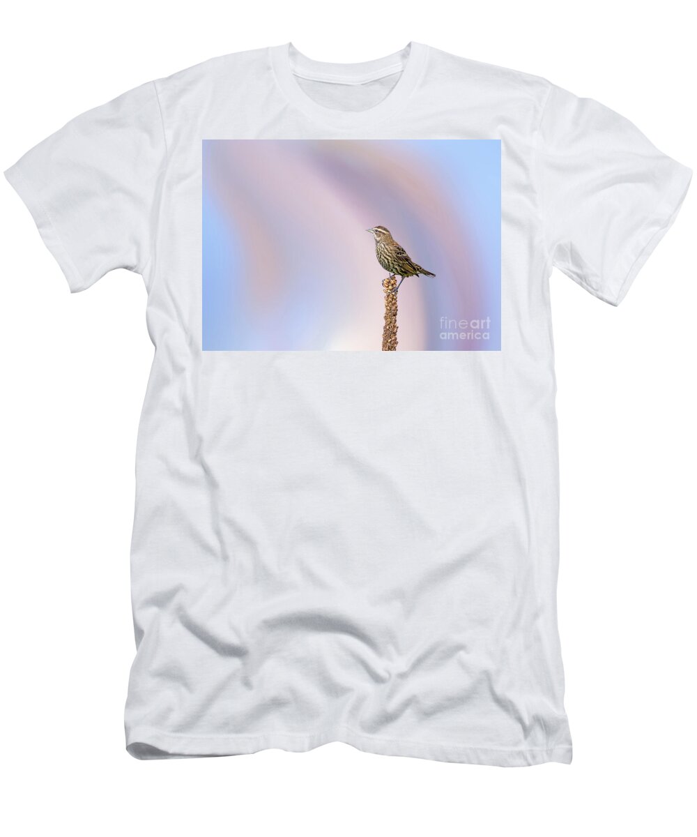 Red Winged Blackbird T-Shirt featuring the photograph Red Winged Black Bird - Female by Rehna George