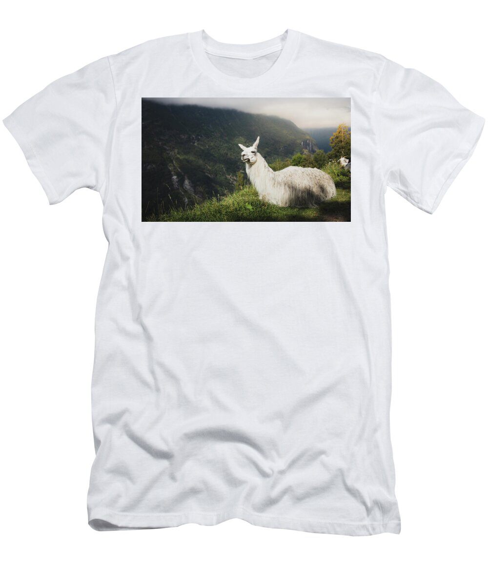 #faatoppicks T-Shirt featuring the photograph Relaxing Llama in Mountain Landscape by Nicklas Gustafsson