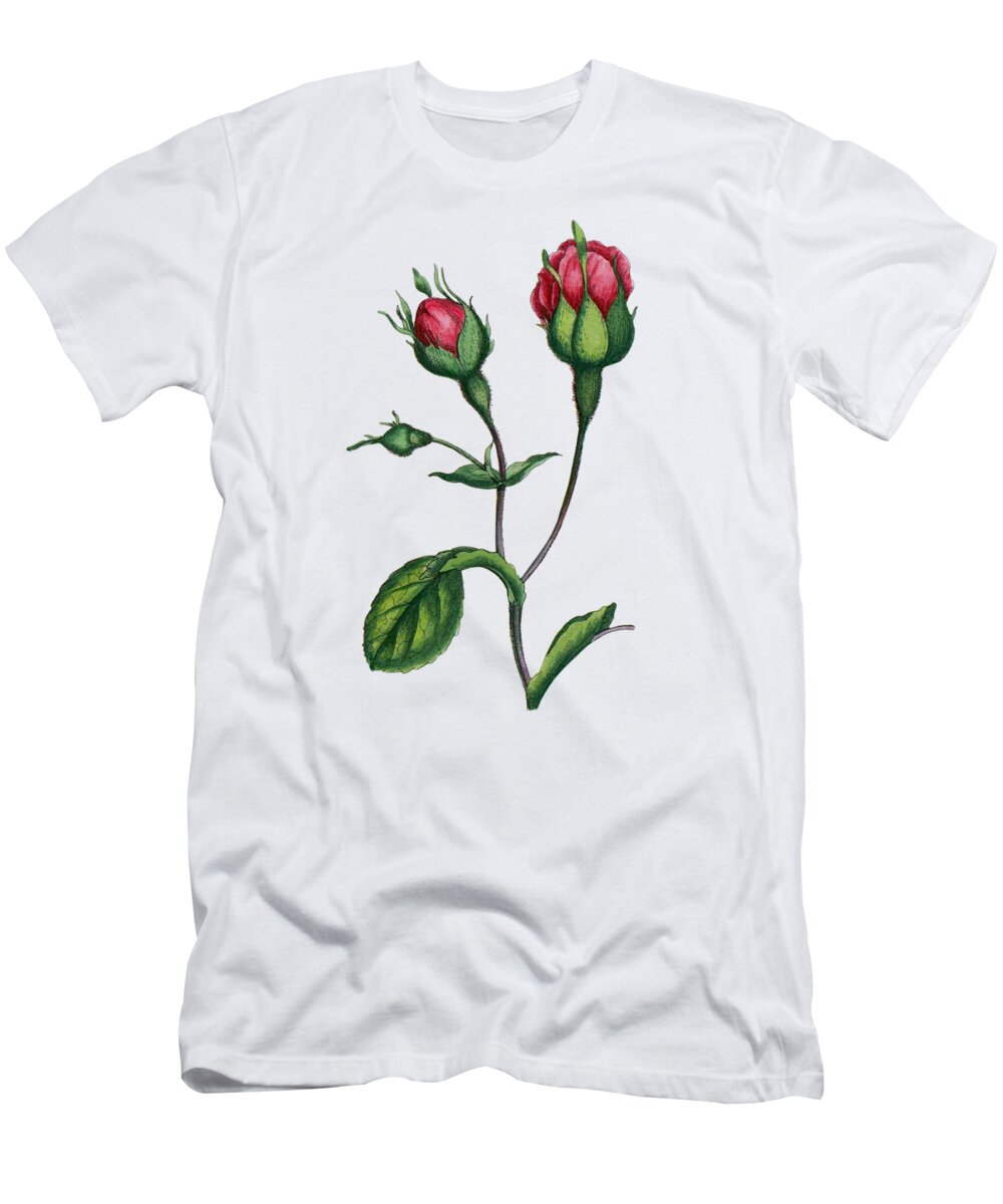 Rose T-Shirt featuring the digital art Roses Decor by Madame Memento