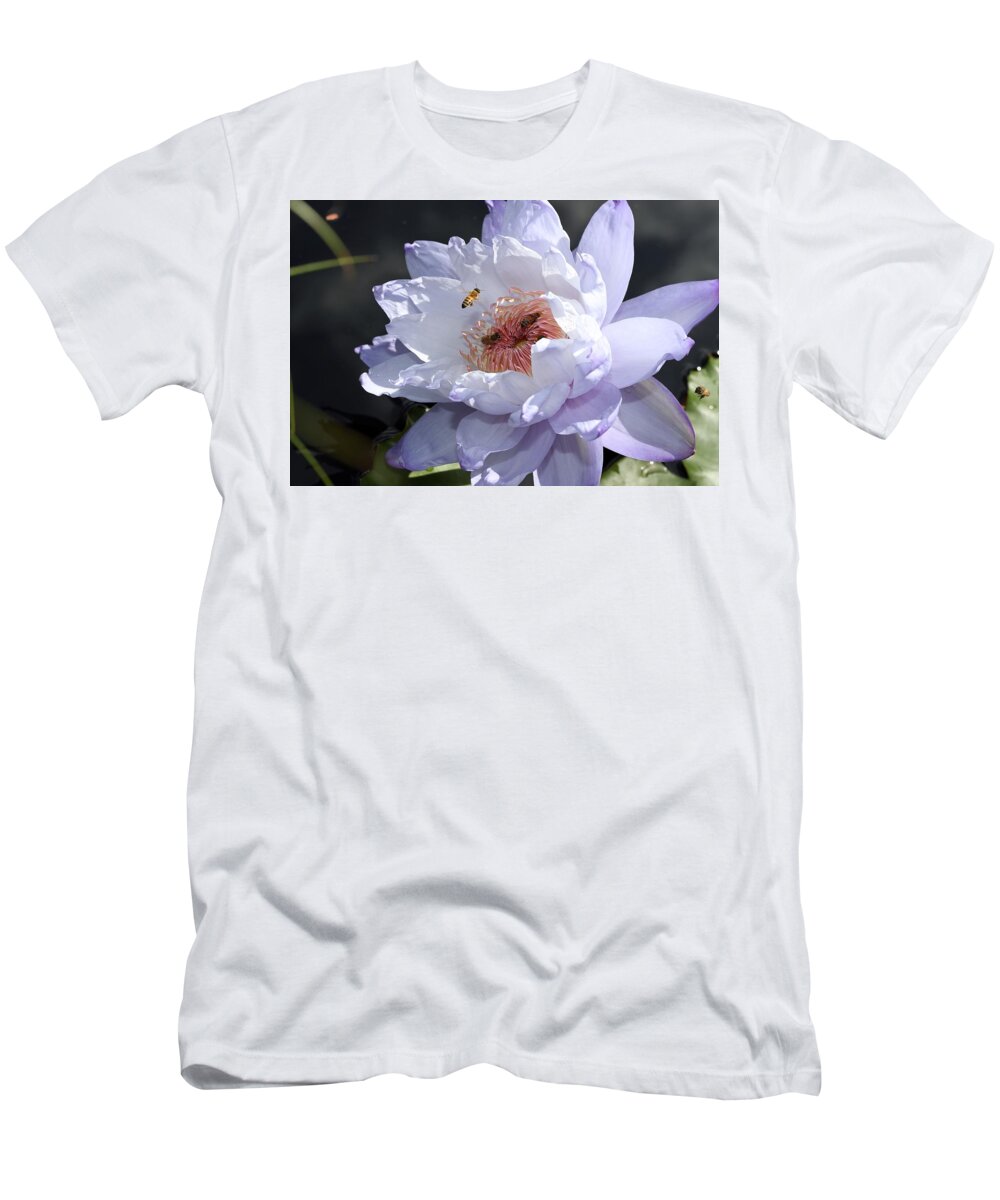 Water Lily T-Shirt featuring the photograph Ruffled Water Lily by Mingming Jiang