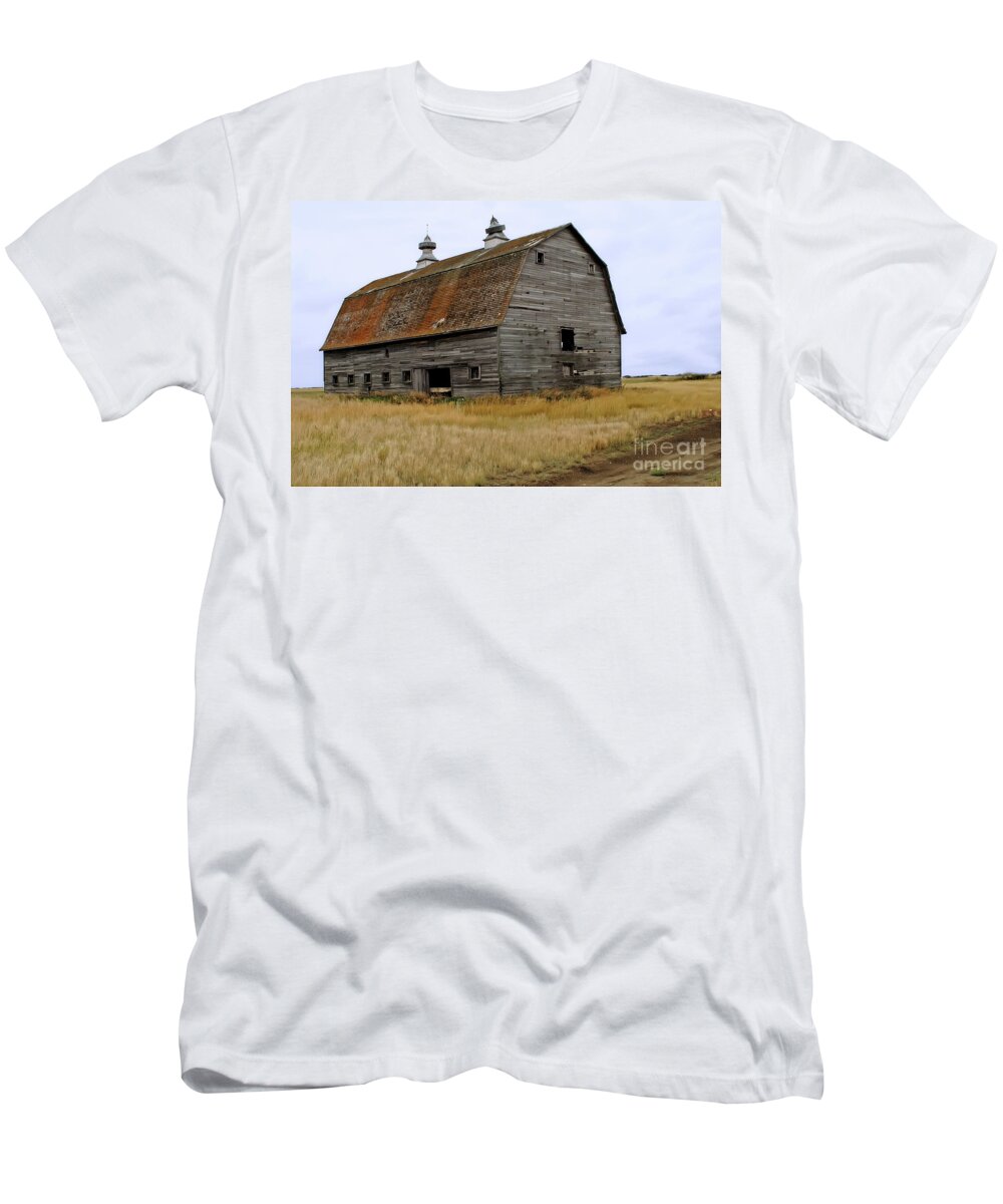 Scenery T-Shirt featuring the photograph Rusty Roof by Paolo Signorini