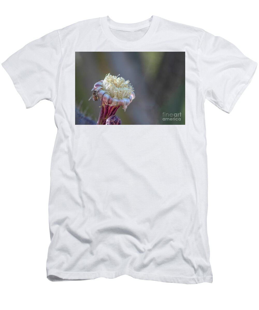 Saguaro T-Shirt featuring the photograph Saguaro Flower and Bee by Elisabeth Lucas