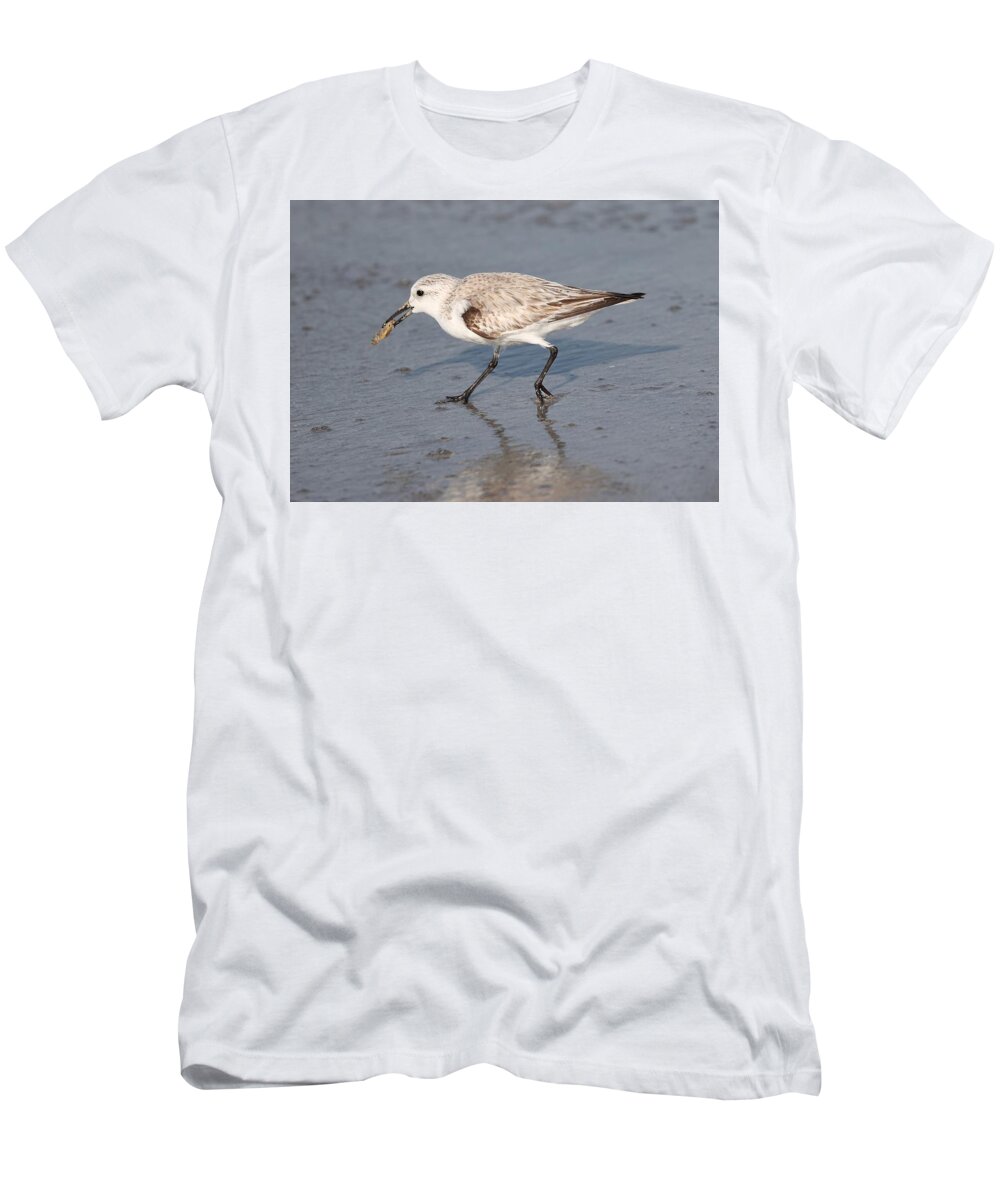 Sanderlings T-Shirt featuring the photograph Sanderling by Mingming Jiang