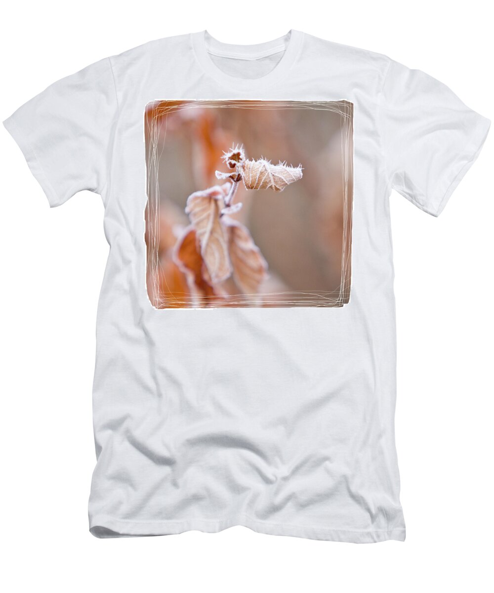 Frost T-Shirt featuring the photograph Sepia Hoarfrost I by Patti Deters