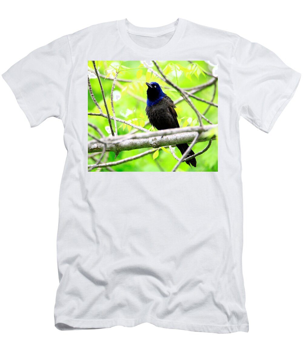 Birds T-Shirt featuring the photograph Singing Grackle by Mary Walchuck