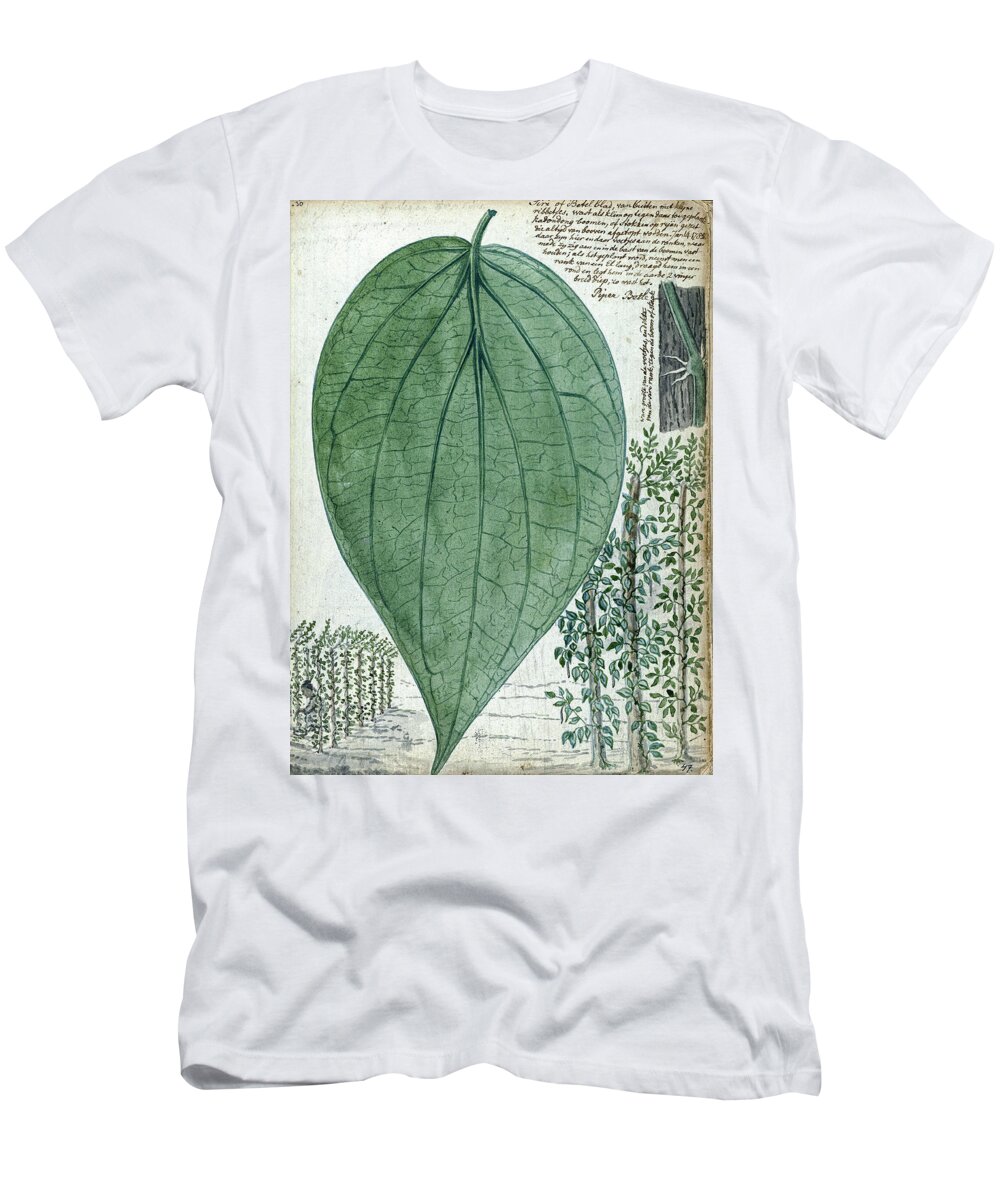 Sirih Culture T-Shirt featuring the painting Sirih culture, Jan Brandes, 1785 by Artistic Rifki