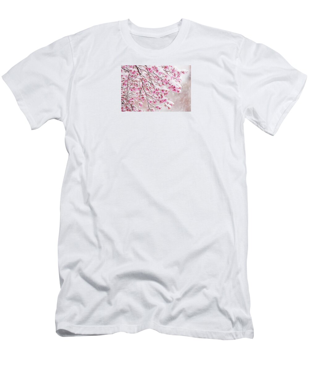 Cherry Blossoms T-Shirt featuring the photograph Snow on Cherry Blossoms by Mary Ann Artz