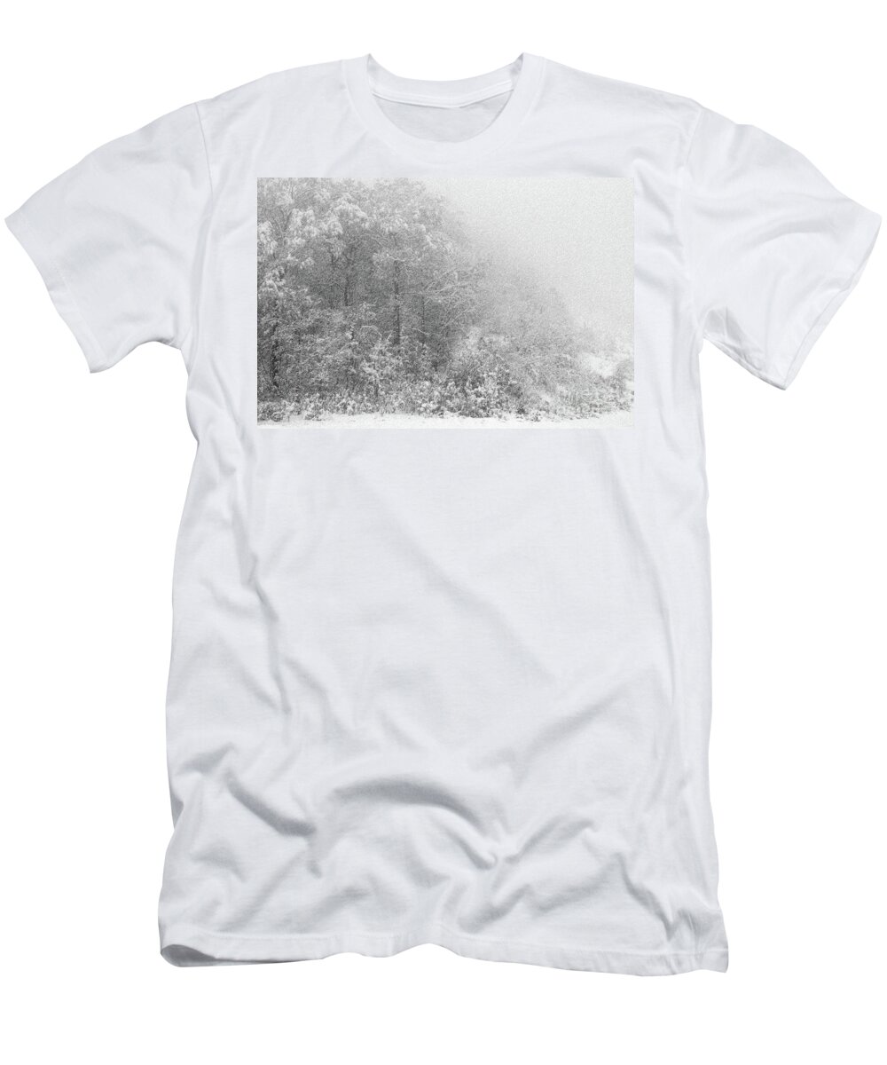 Nature T-Shirt featuring the photograph Snowstorm by Mariarosa Rockefeller