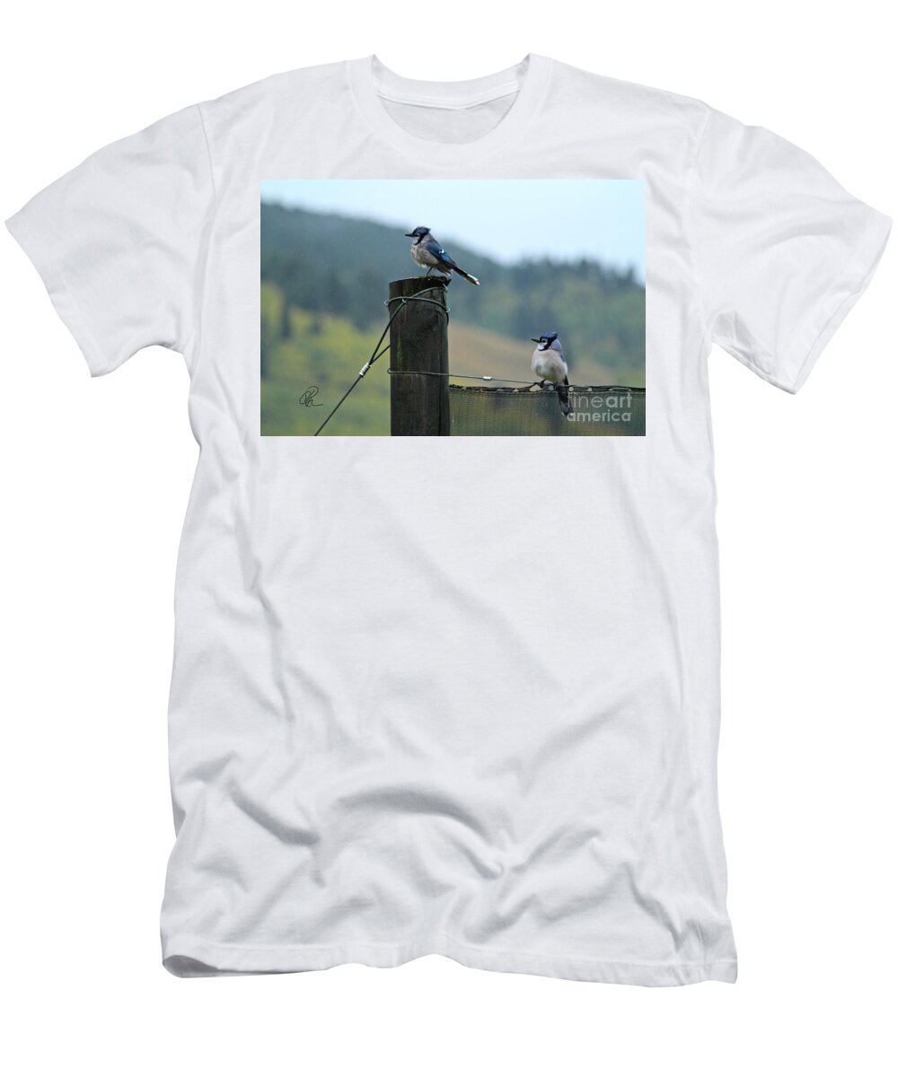 Bluejay T-Shirt featuring the photograph Soggy Bluejays by Ann E Robson