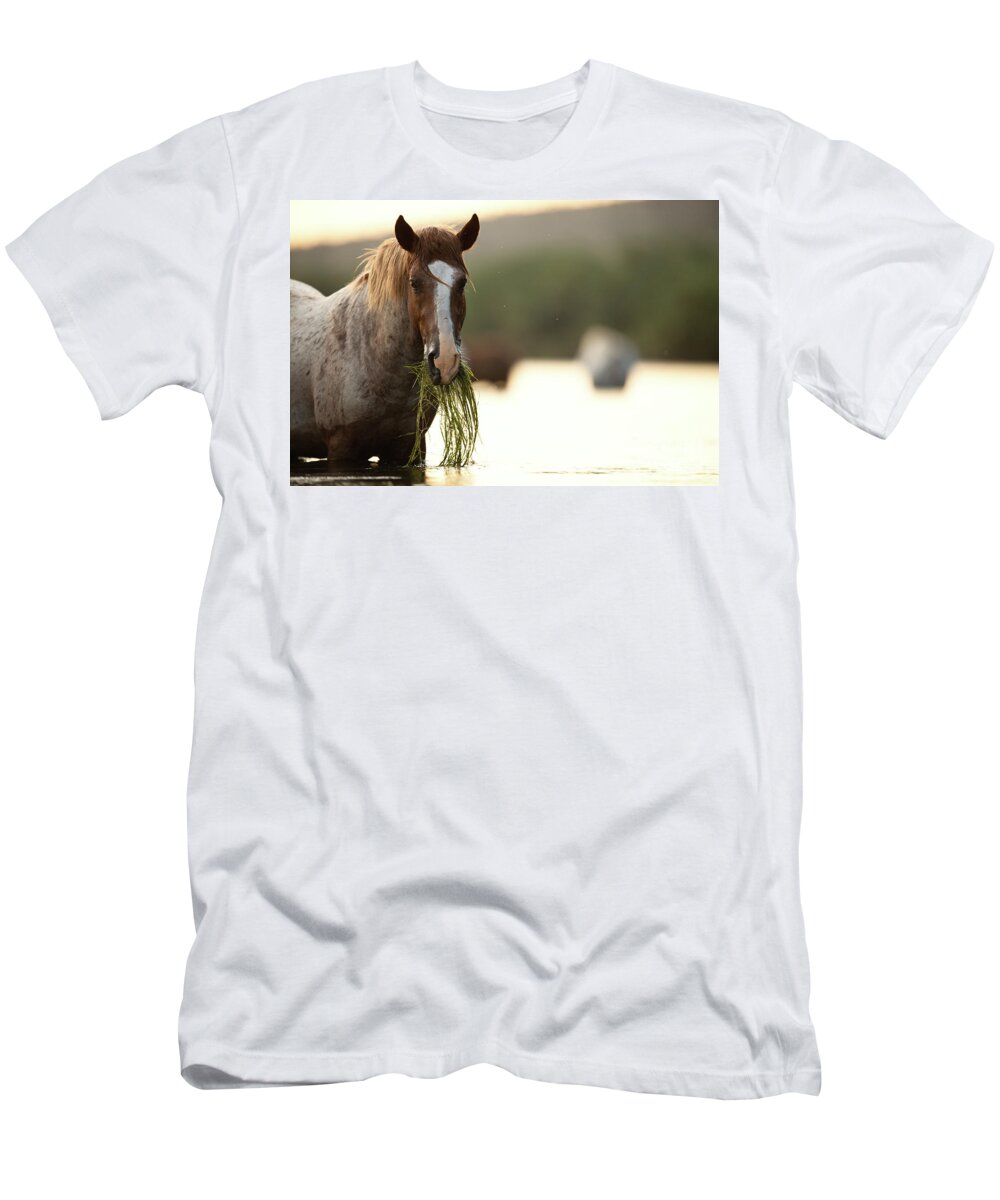 Salt River Wild Horses T-Shirt featuring the photograph Spaghetti by Shannon Hastings