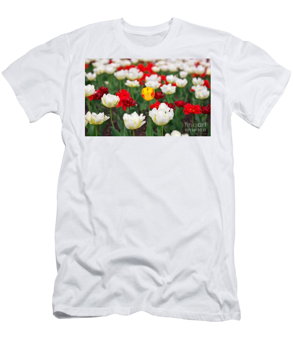 White T-Shirt featuring the photograph Spring colorful tulips. Yellow and other colors flowers by Boon Mee
