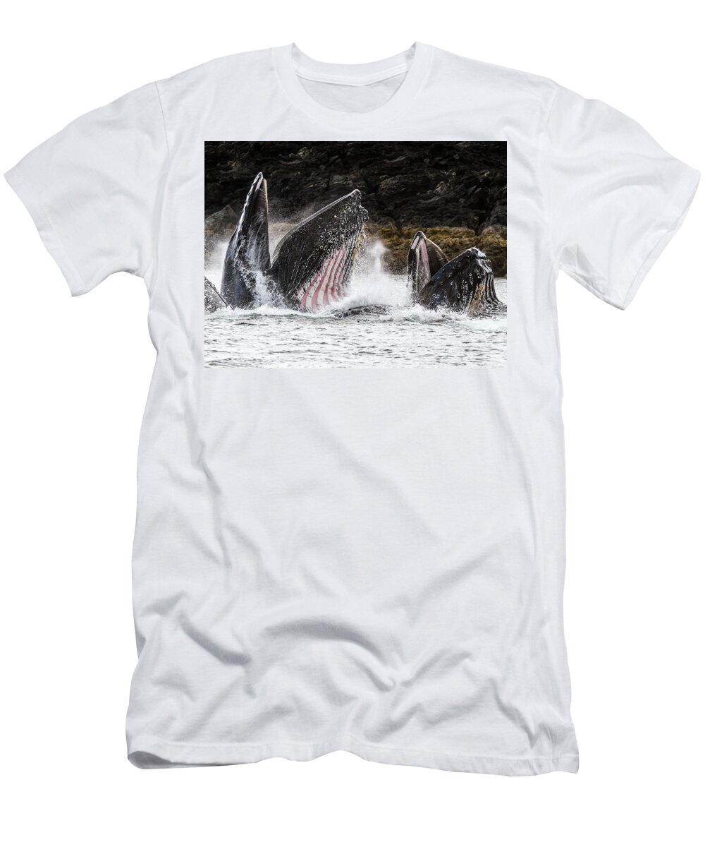 Whale T-Shirt featuring the photograph Stars n' Stripes by Michael Rauwolf