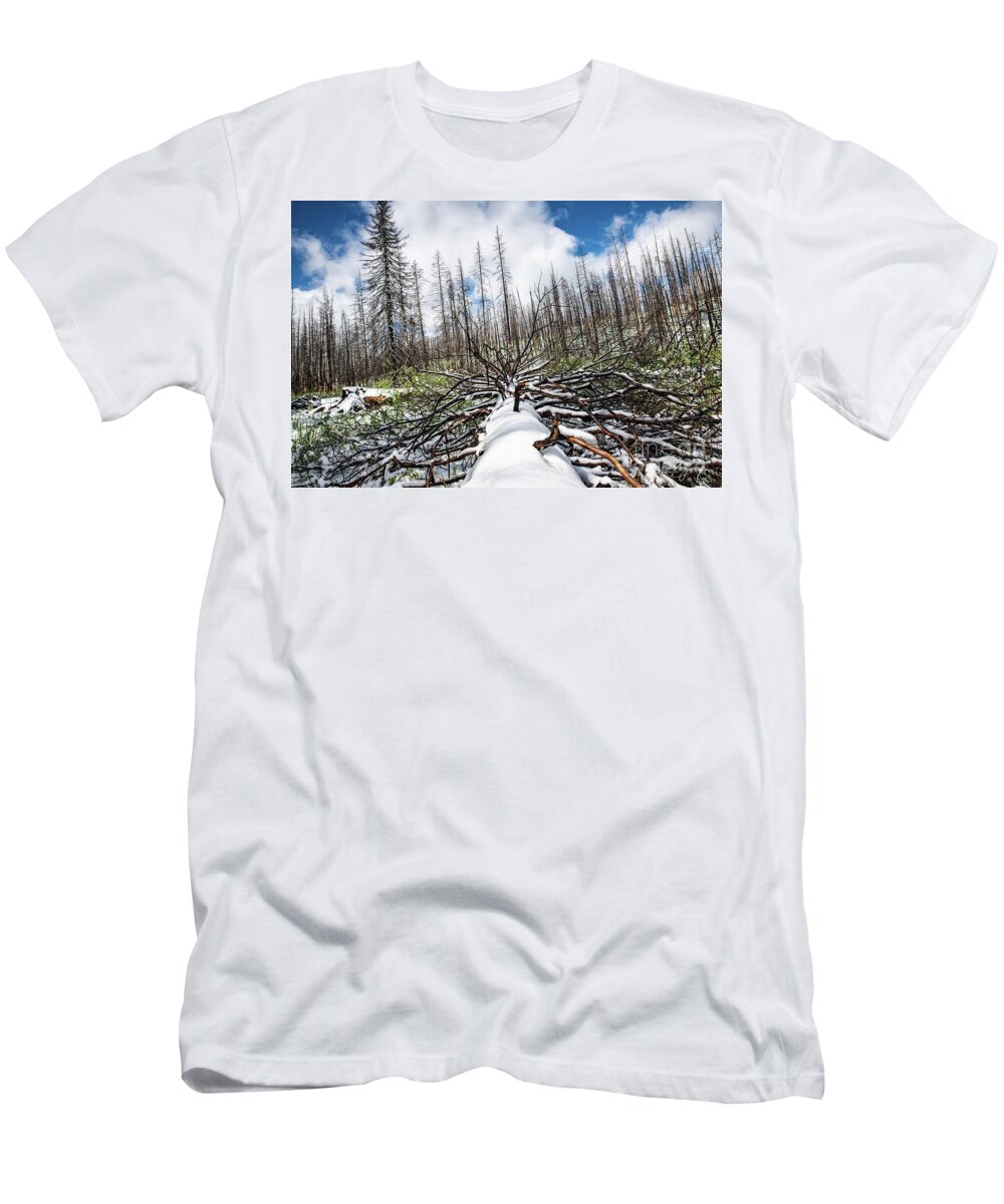 Mountains T-Shirt featuring the photograph Stick Up by Larry Young