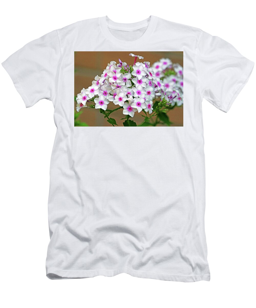 Phlox T-Shirt featuring the photograph Summer Phlox by Debbie Oppermann