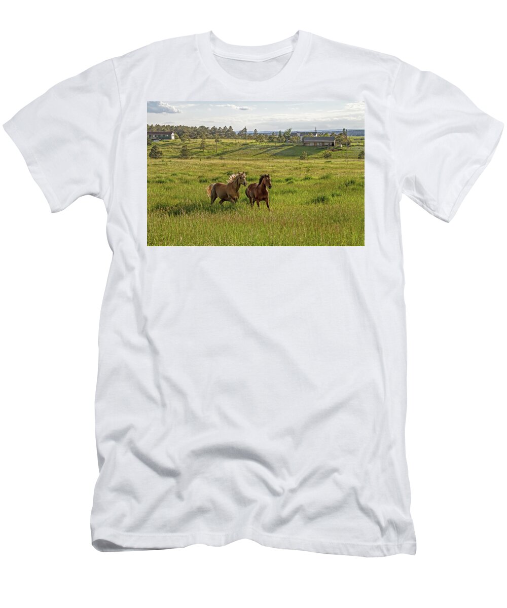  Horses T-Shirt featuring the photograph Summer Run by Alana Thrower