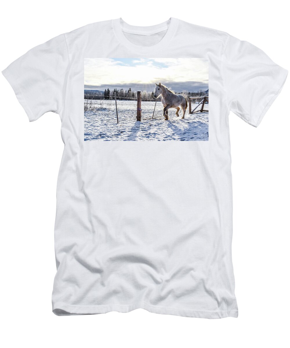 Winter T-Shirt featuring the photograph Sunlit Passage by Listen To Your Horse