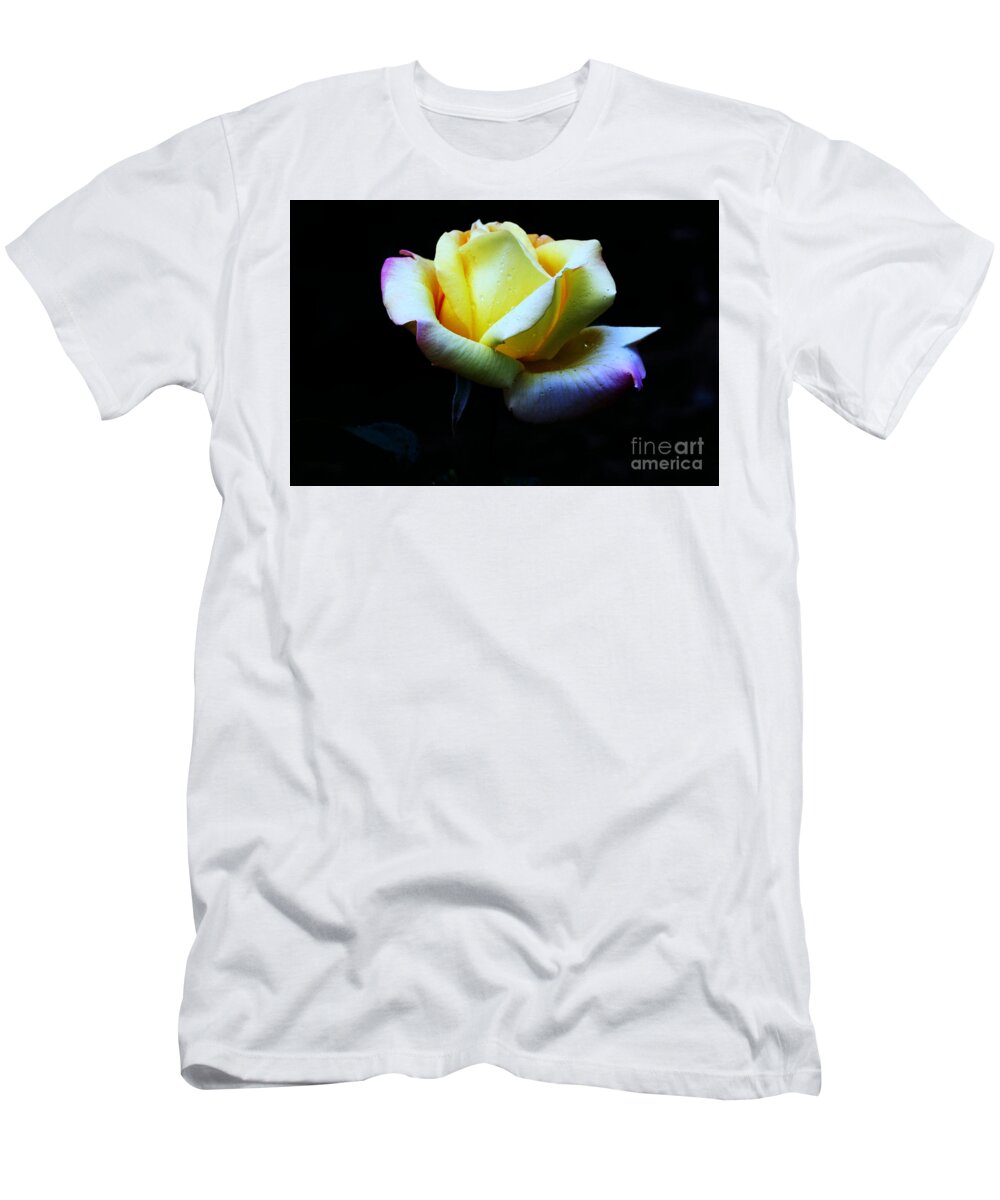 Rose T-Shirt featuring the photograph Supernal by Doug Norkum