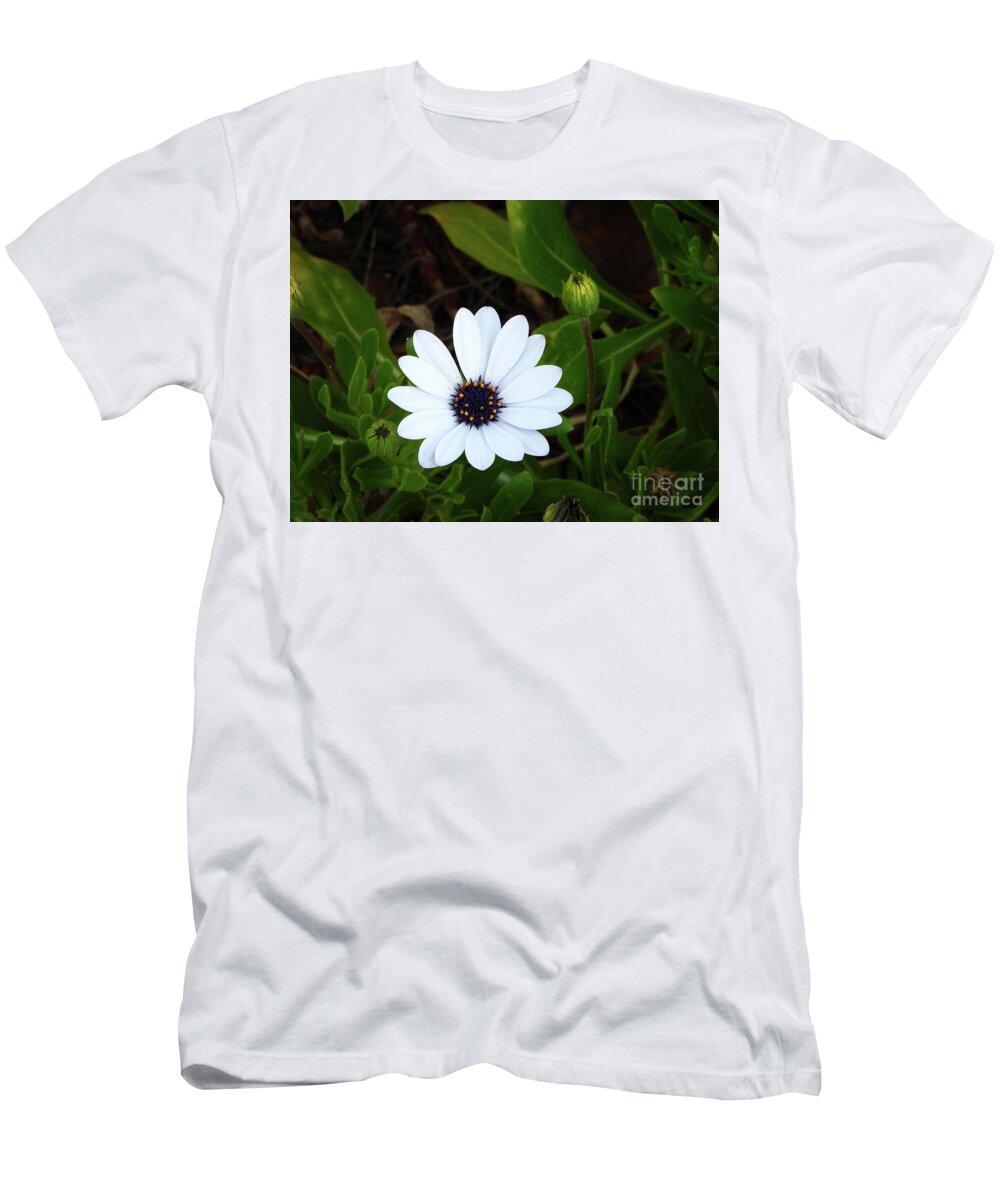 African T-Shirt featuring the photograph The Cape Daisy by Scott Cameron