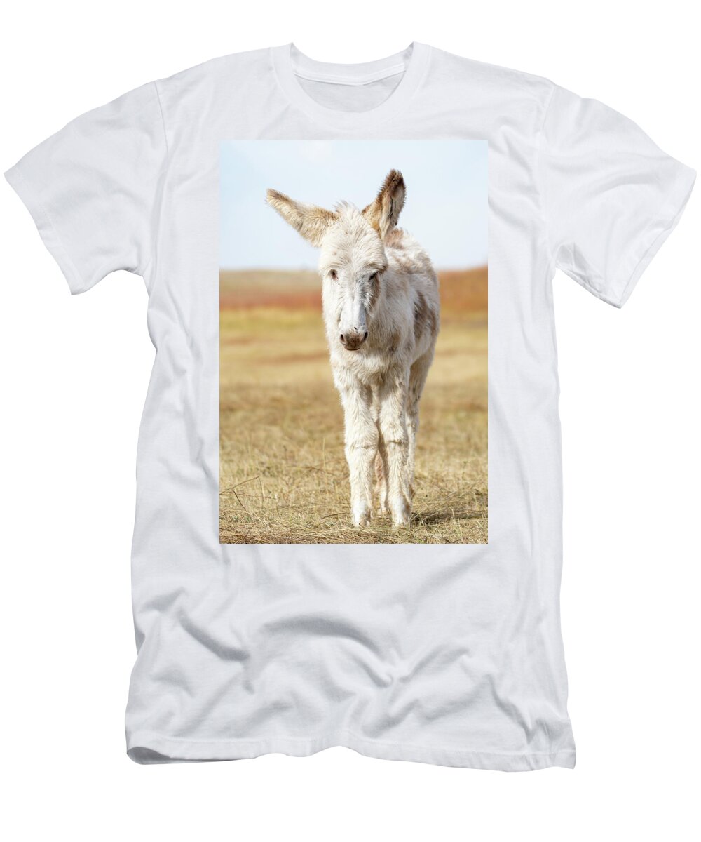 Wild Burros T-Shirt featuring the photograph The cuteness by Mary Hone
