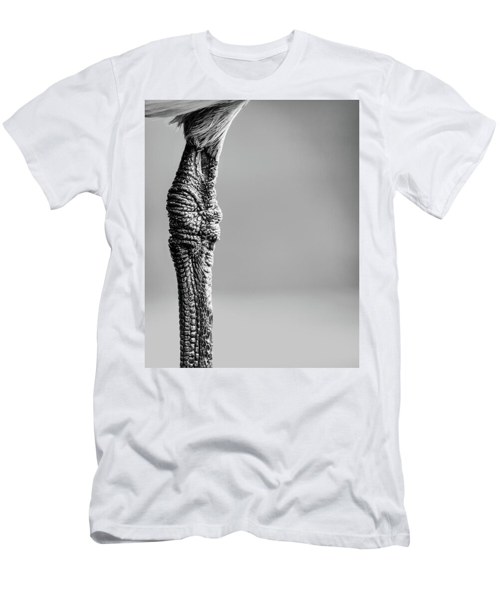 Seagull T-Shirt featuring the photograph The Seagulls Knee by Bob Orsillo
