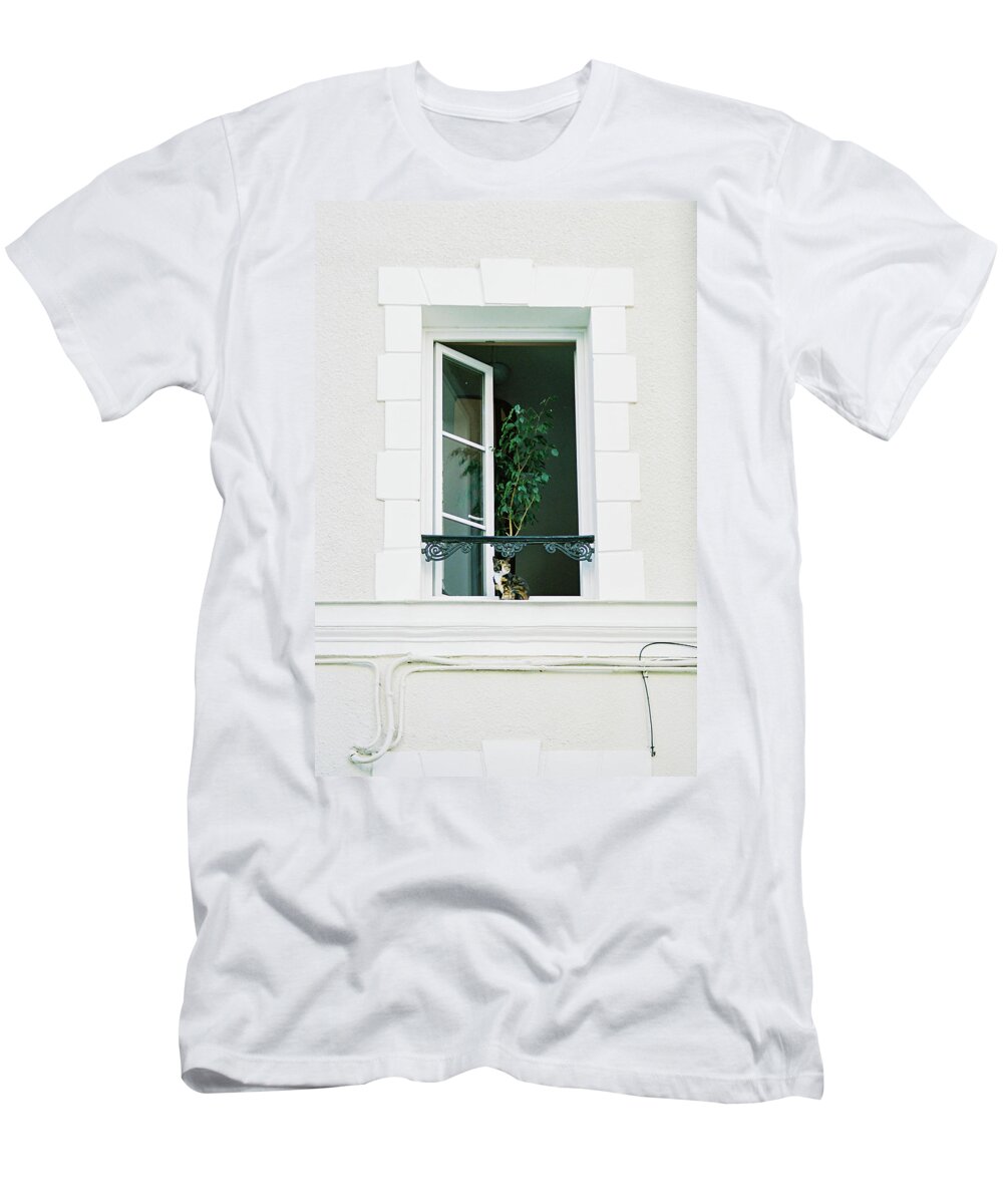Indoor T-Shirt featuring the photograph The security cat by Barthelemy De Mazenod