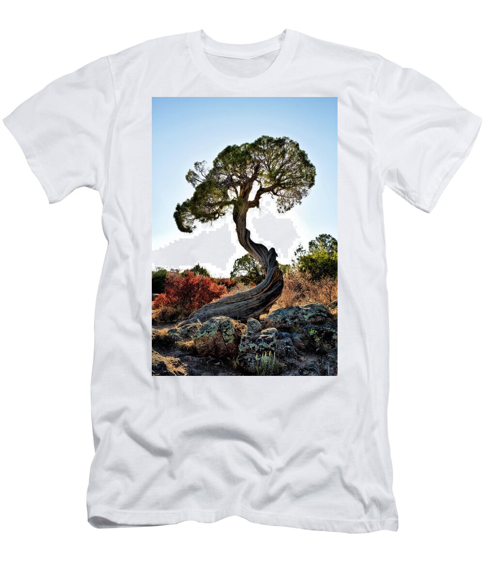Tree T-Shirt featuring the photograph Tree At Black Canyon by Robert Woodward