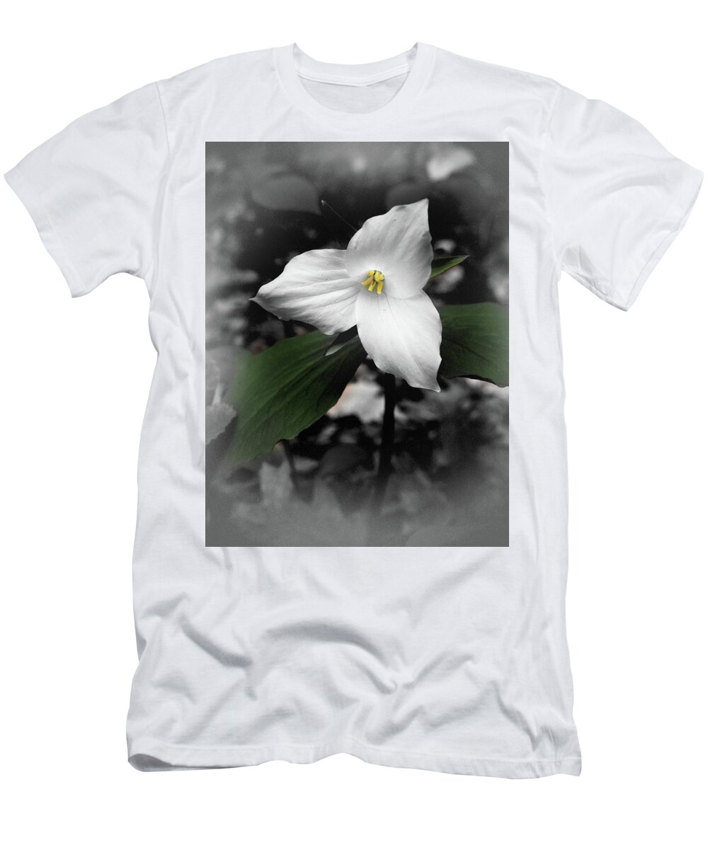 Trillium T-Shirt featuring the photograph Trillium Grandiflora by James C Richardson