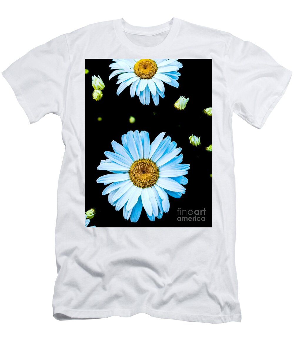 Marguerite T-Shirt featuring the photograph Two Marguerites Into The Night by Claudia Zahnd-Prezioso