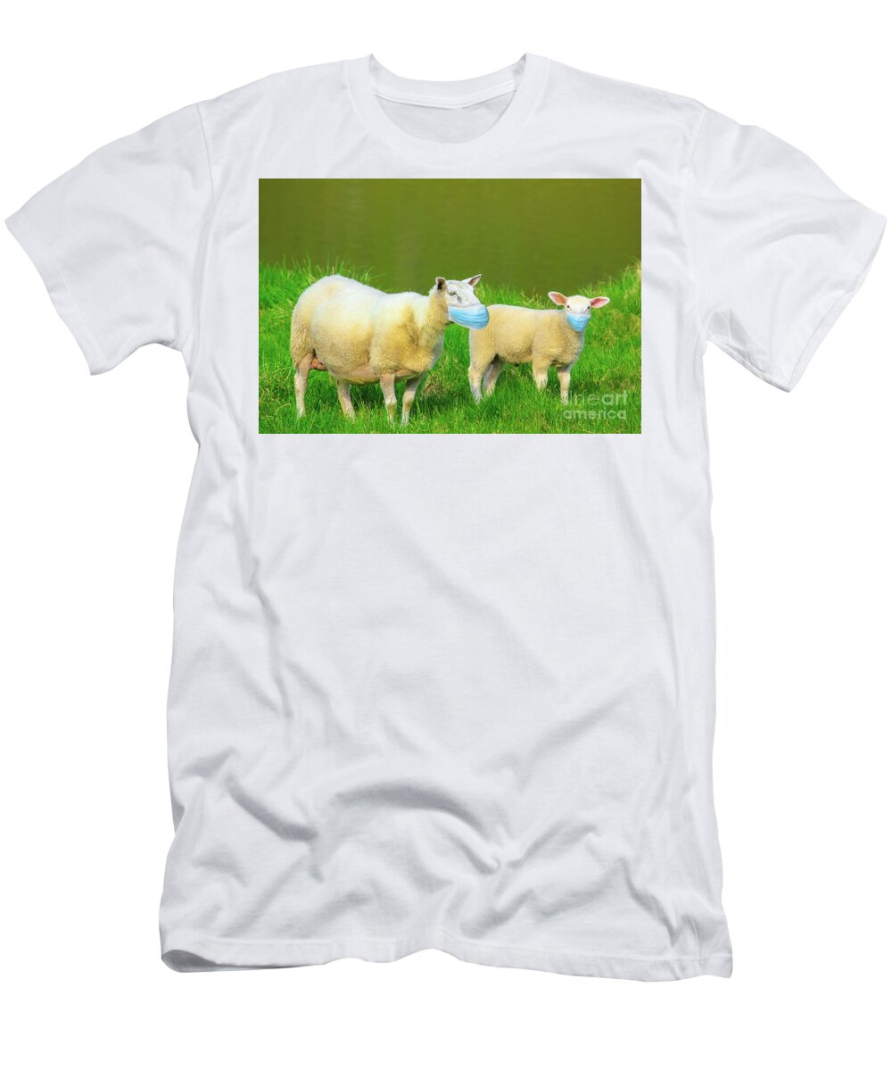 Sheeps T-Shirt featuring the photograph Two sheeps with face mask by Benny Marty