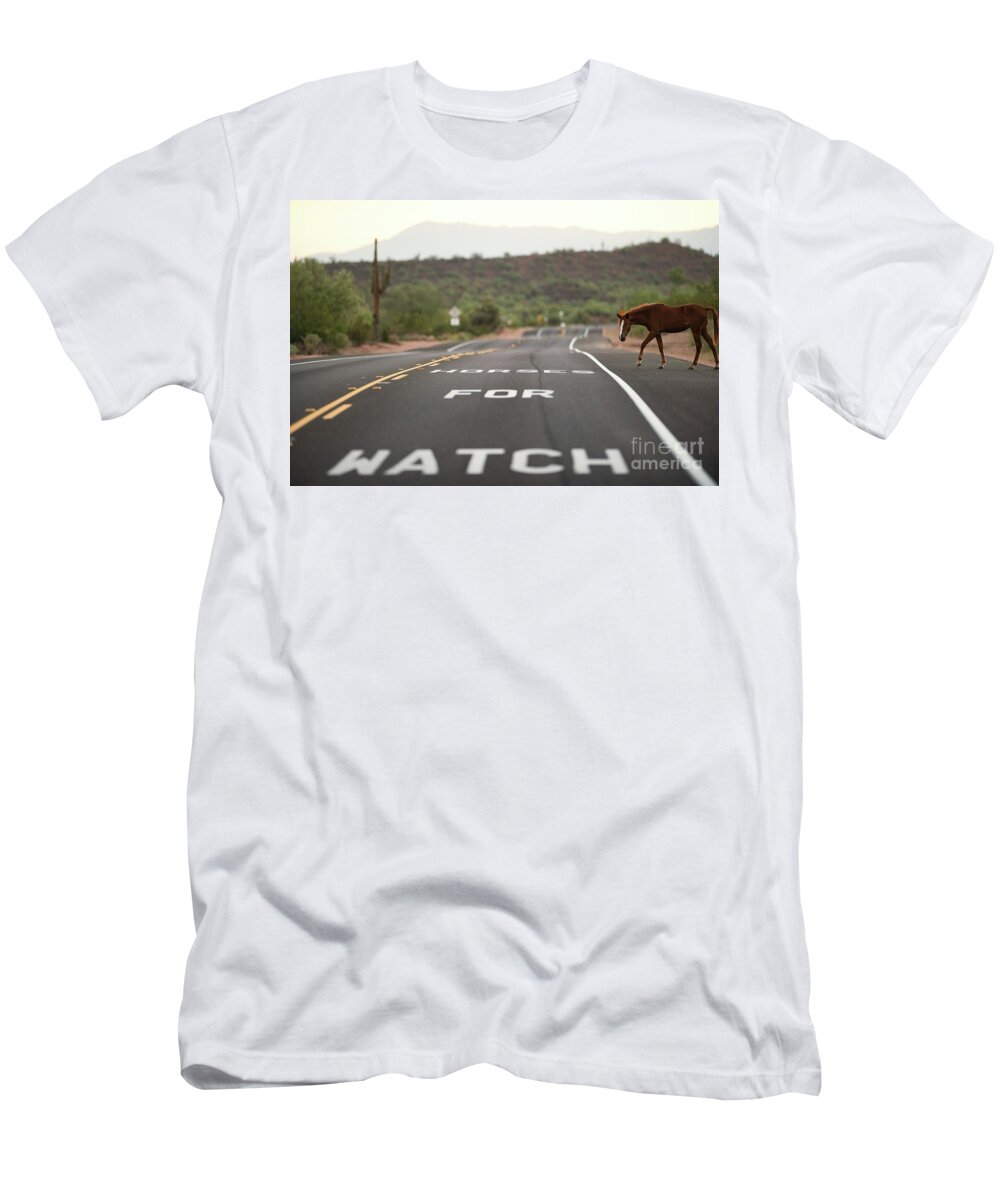 Salt River Wild Horse T-Shirt featuring the photograph Watch For Horses by Shannon Hastings