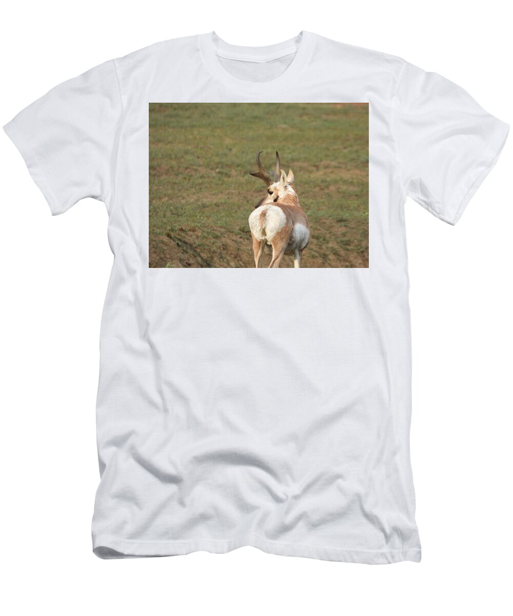 Antelope T-Shirt featuring the photograph Watchful Antelope by Amanda R Wright