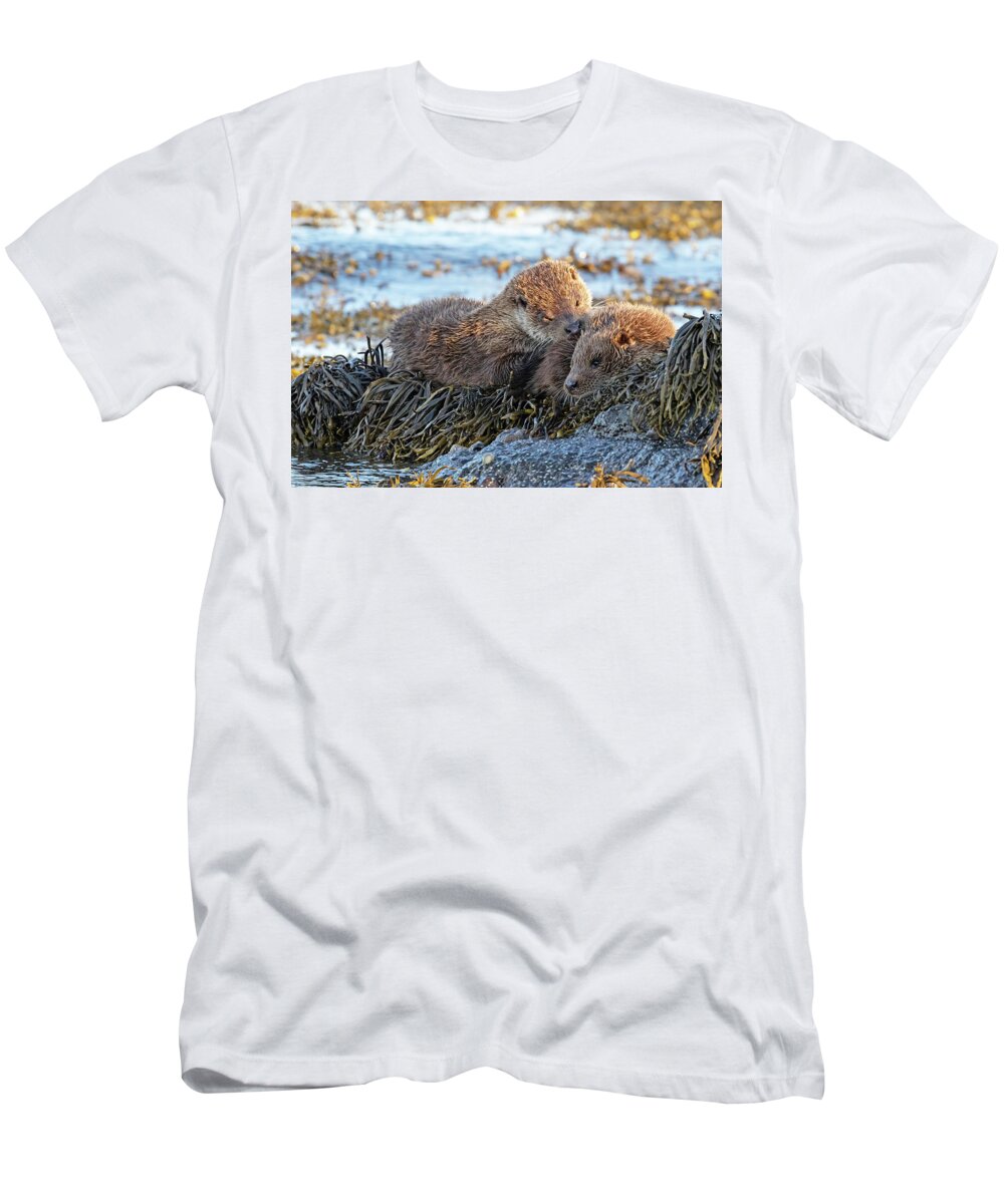Otter T-Shirt featuring the photograph Watching The Tide Come In by Pete Walkden