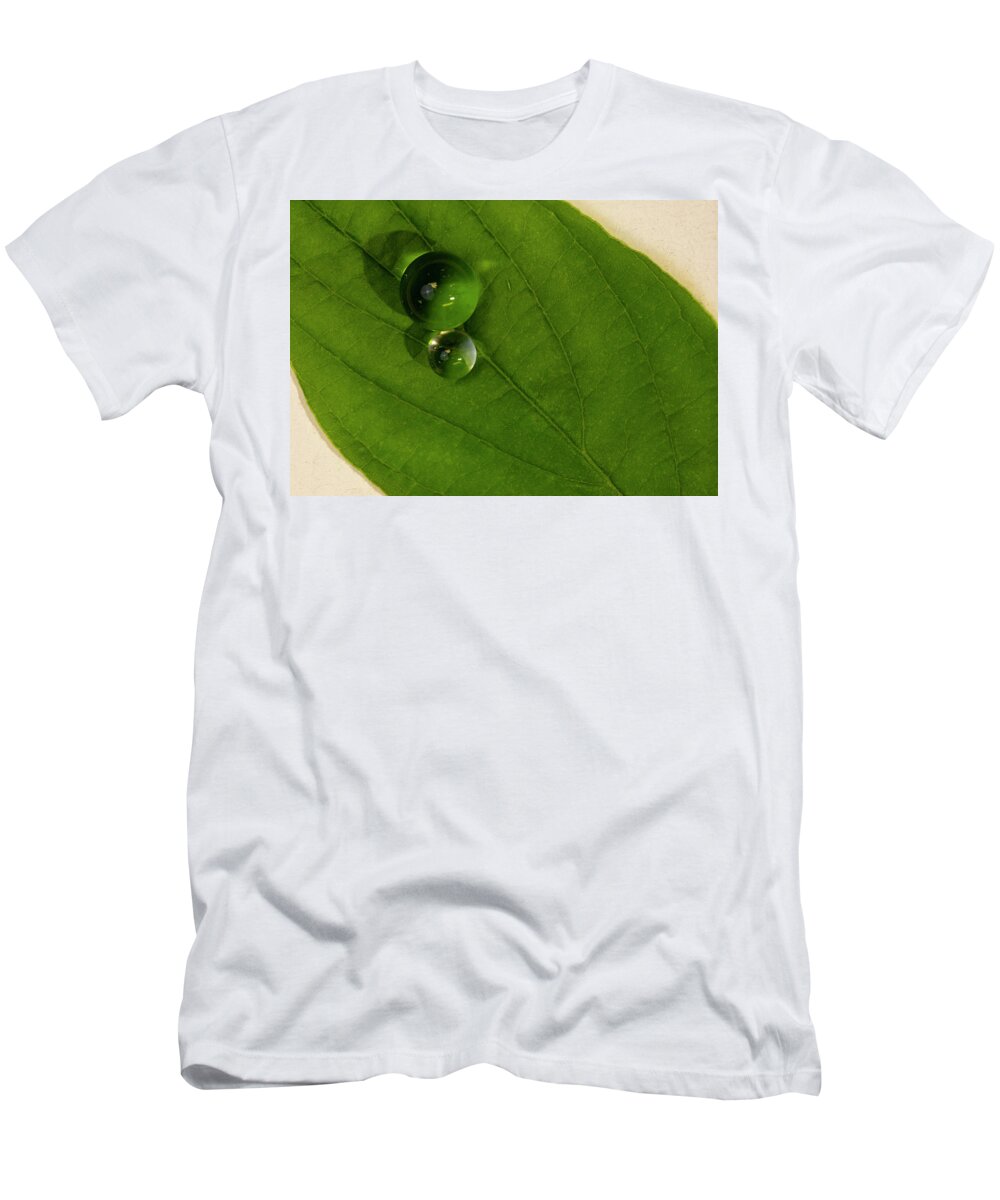 North Wilkesboro T-Shirt featuring the photograph Water Balls on Green Leaf by Charles Floyd
