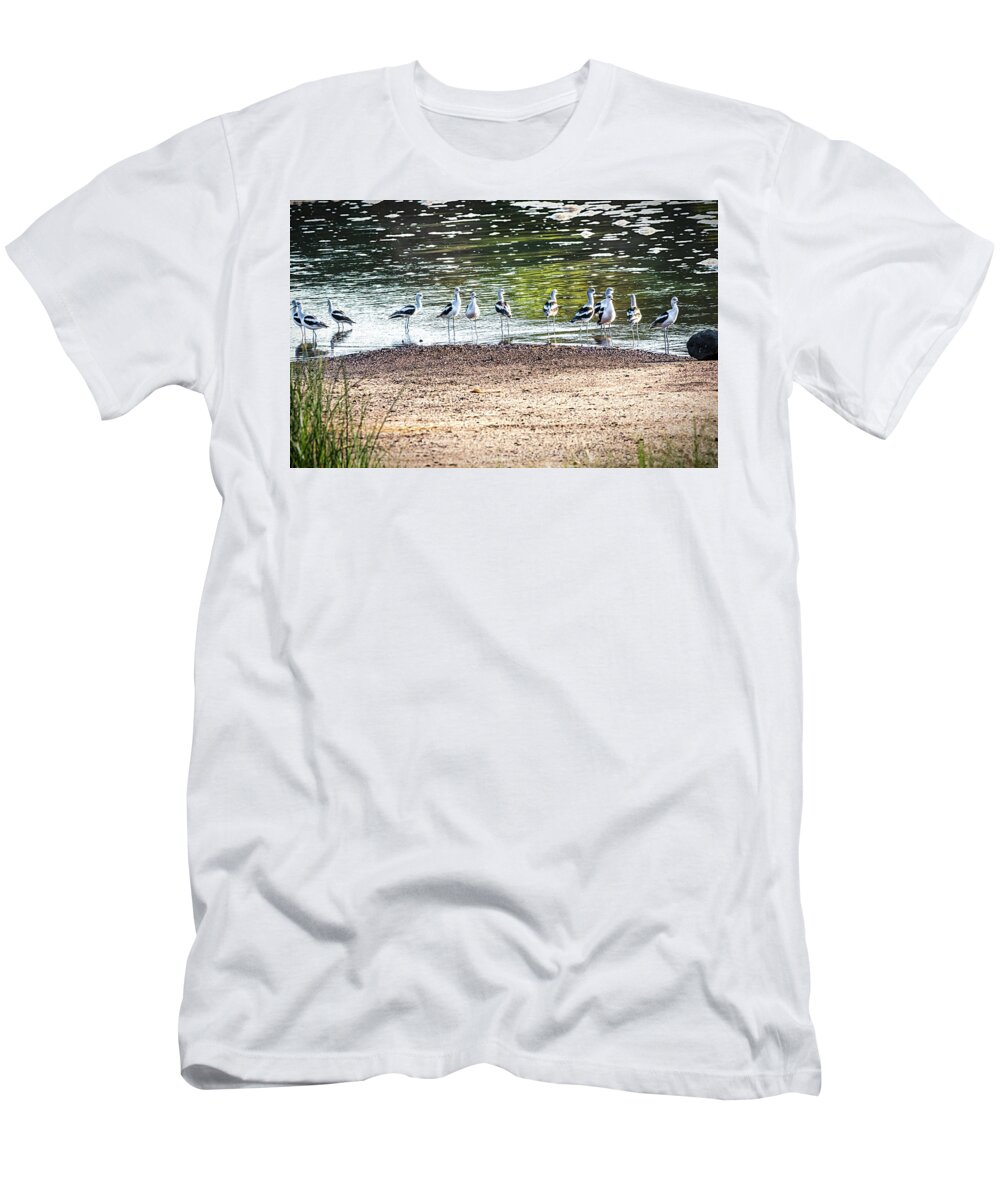 Great Salt Plains Lake T-Shirt featuring the photograph We Made It Now What by Debra Martz